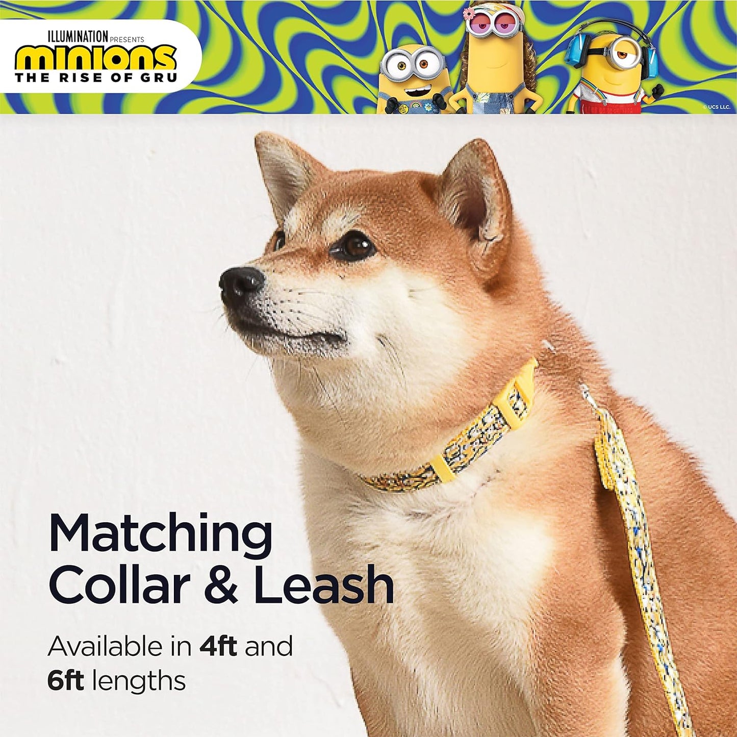 Dog Leash, 4Ft (48In) Blue and Yellow More than a Minion| Gifts for  Fans and Their Pets | Officially Licensed Pet Product from Universal Studios| Gifts for  Fans and Their Pets