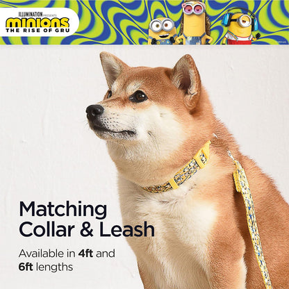 Dog Leash, 4Ft (48In) Blue and Yellow More than a Minion| Gifts for  Fans and Their Pets | Officially Licensed Pet Product from Universal Studios| Gifts for  Fans and Their Pets