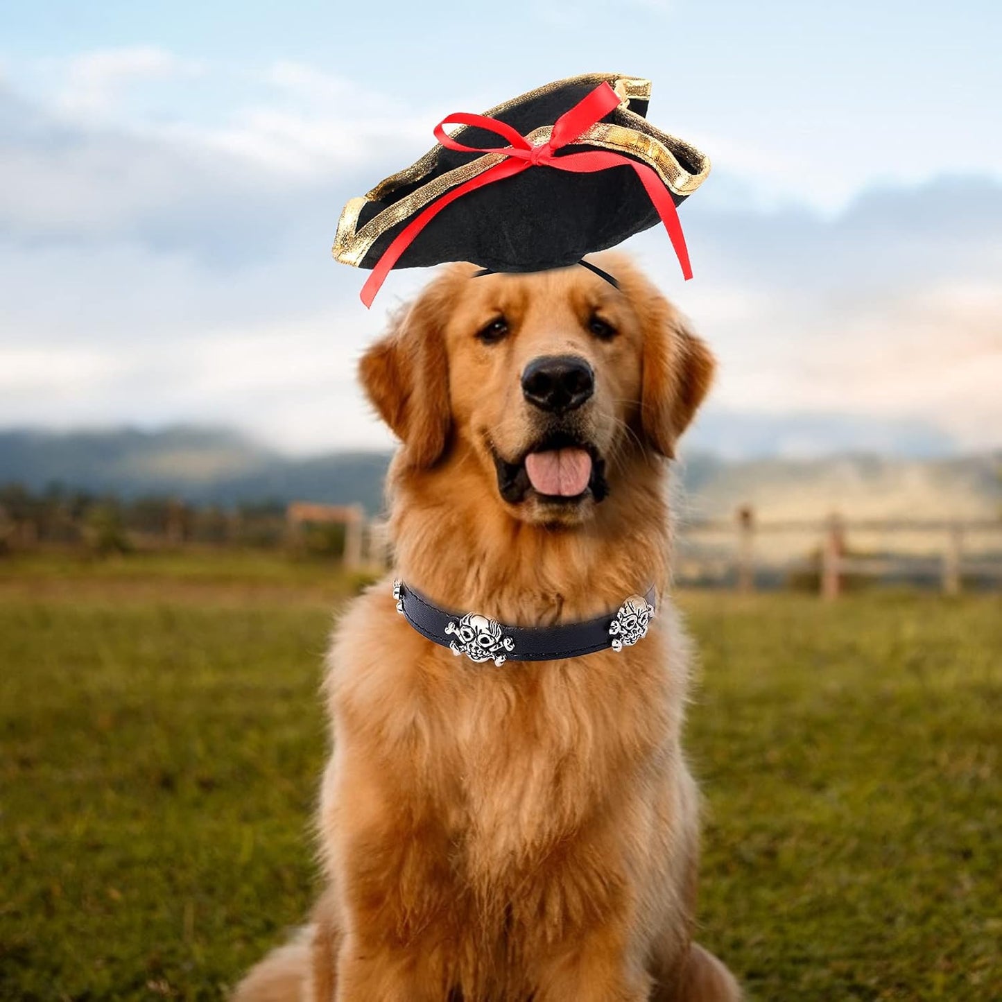 2 Pieces Pet Pirate Hat with Skull Studded Pet Leather Collar Pirate Cosplay Costume Accessories Photo Props for Cat Dog Puppy Halloween Dressing up (B)