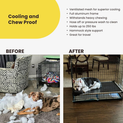 Chew Proof Elevated Outdoor Cooling Cot Bed for Large Dogs - Virtually Indestructible, Preassembled, Withstands Aggressive Chewers - L, Black Mesh